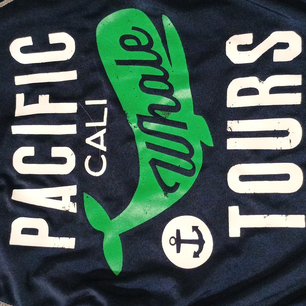 4/$15 (2) Rash Guards, 12-18M - Picture 4 of 4